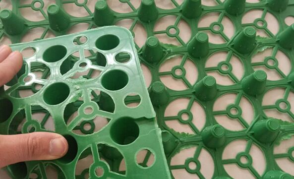 ��픷Nֲ��ˮ��